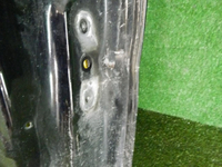 DSCN5497.jpg