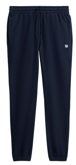 Мужские теннисные штаны Wilson Unisex Crew Pant - небесный