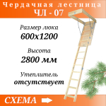 Комбинированная чердачная лестница ЧЛ-17 600х1200