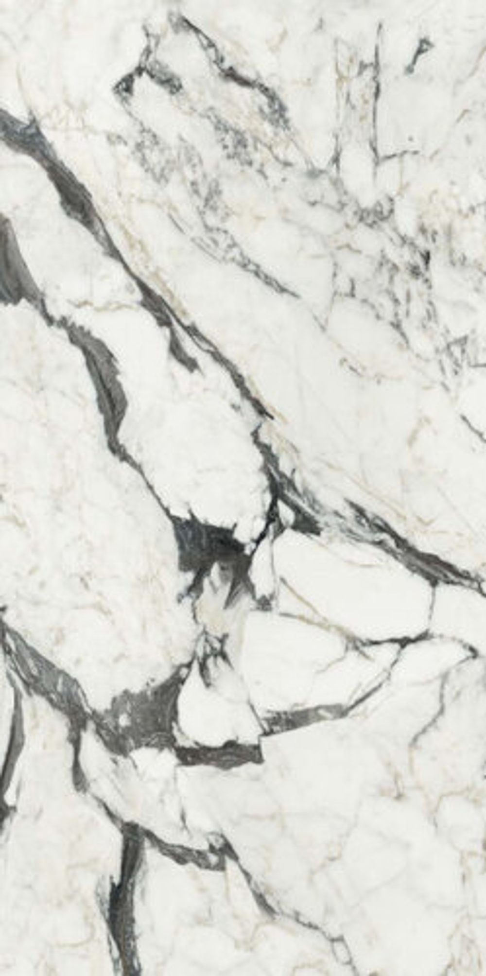 Керамогранит LES BIJOUX DE REX CALAC ALTISSIMO GLOSSY 9ММ 60X120 RET (766330) глянц.