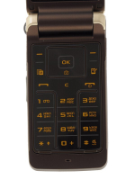 Мобильный телефон Samsung GT-S3600 Gold