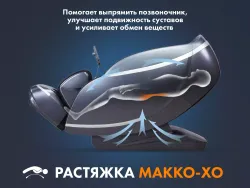 Массажное кресло FUJIMO 氣 GURU F700 Серый