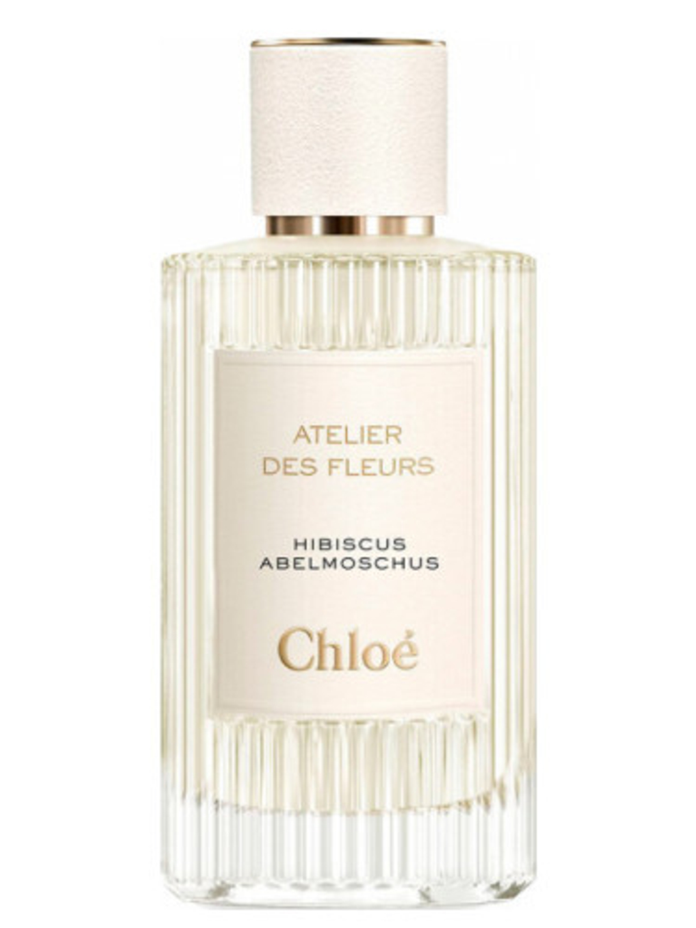 Chloé Hibiscus Abelmoschus