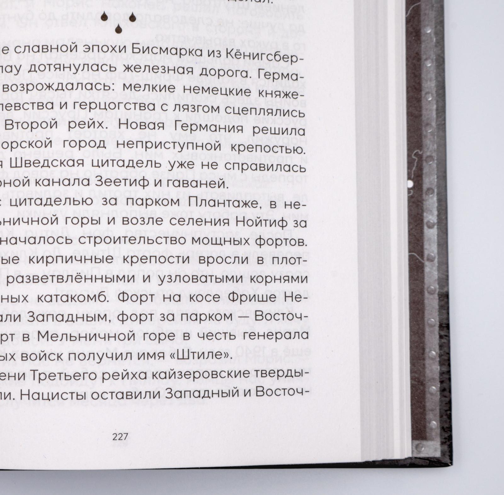 Тени тевтонов | Алексей Иванов