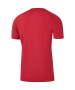 Футболка тренировочная JÖGEL PREMIER PerFormDRY Training Poly Tee, красный