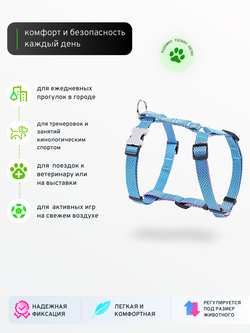 Шлейка NEO 1.5 см голубая