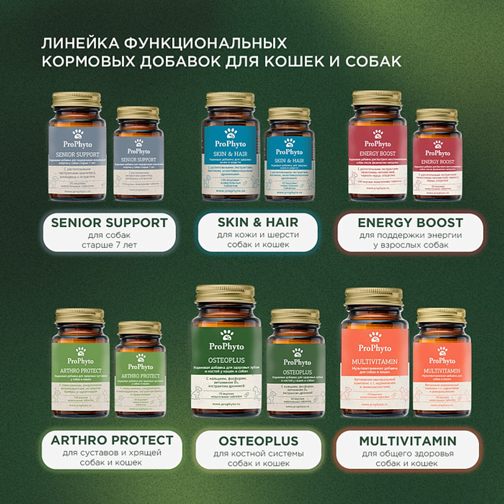 Функциональная кормовая добавка для собак и кошек ProPhyto Сеньор Саппорт, 100 таблеток