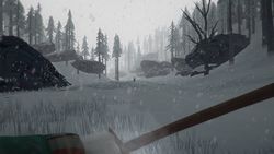 The Long Dark