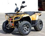 Квадроцикл IRBIS ATV 200U LUX (+лебедка)