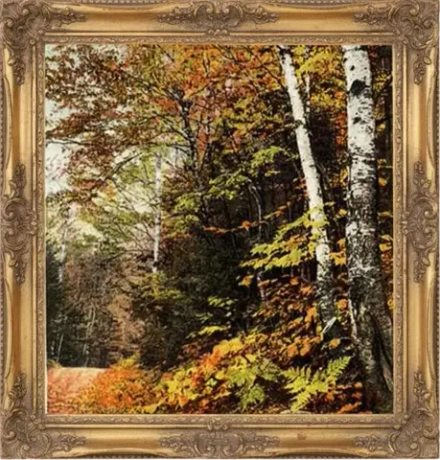 Отдушка SM - ОСЕННИЙ ВОЗДУХ (AUTUMN AIR)
