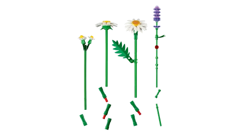Конструктор LEGO Botanical Collection 11508 Daisies