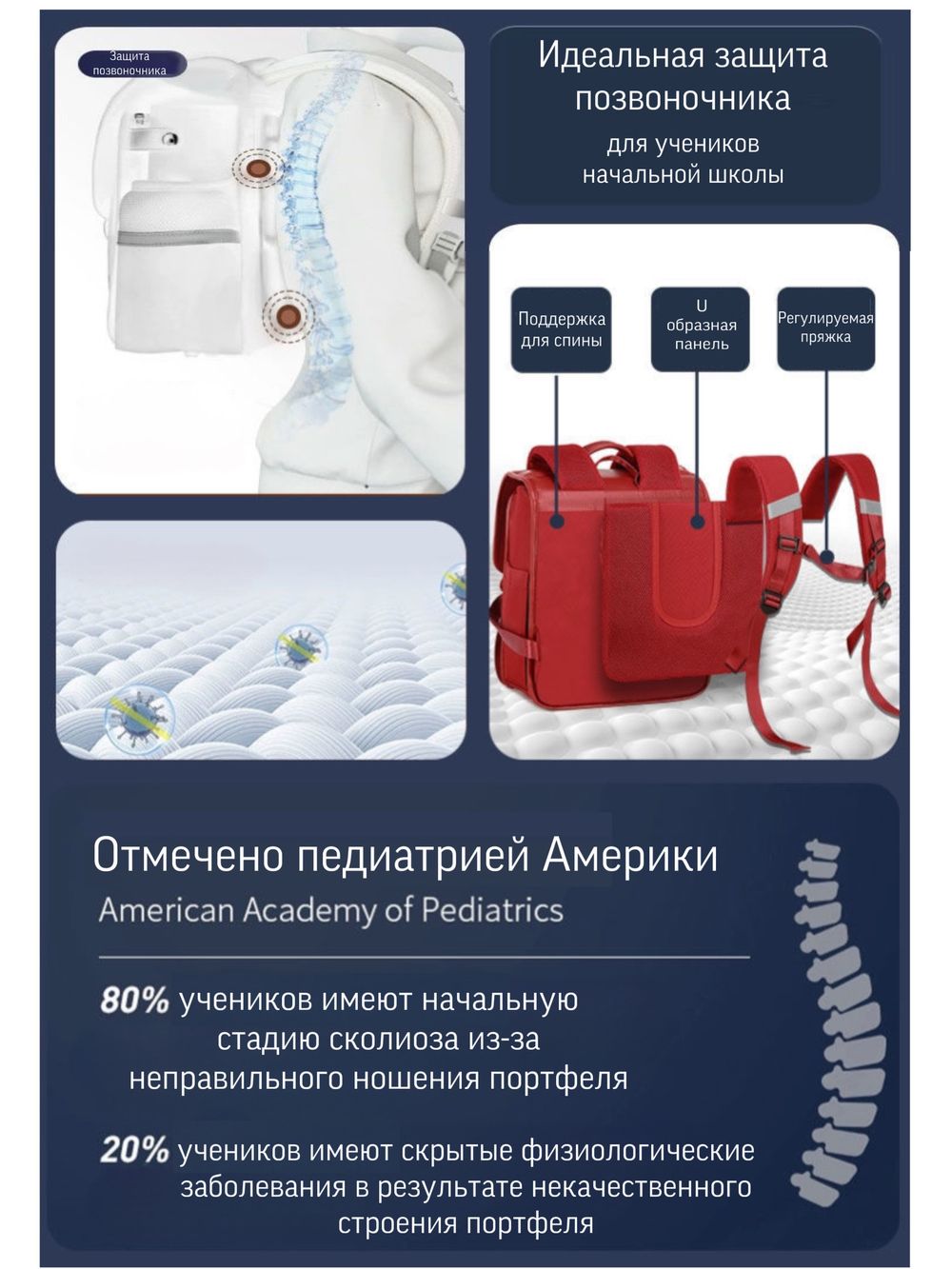 портфель