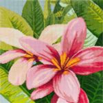 Алмазная (кристальная) мозаика Фрея, Цветы франжипани, 40х40 см