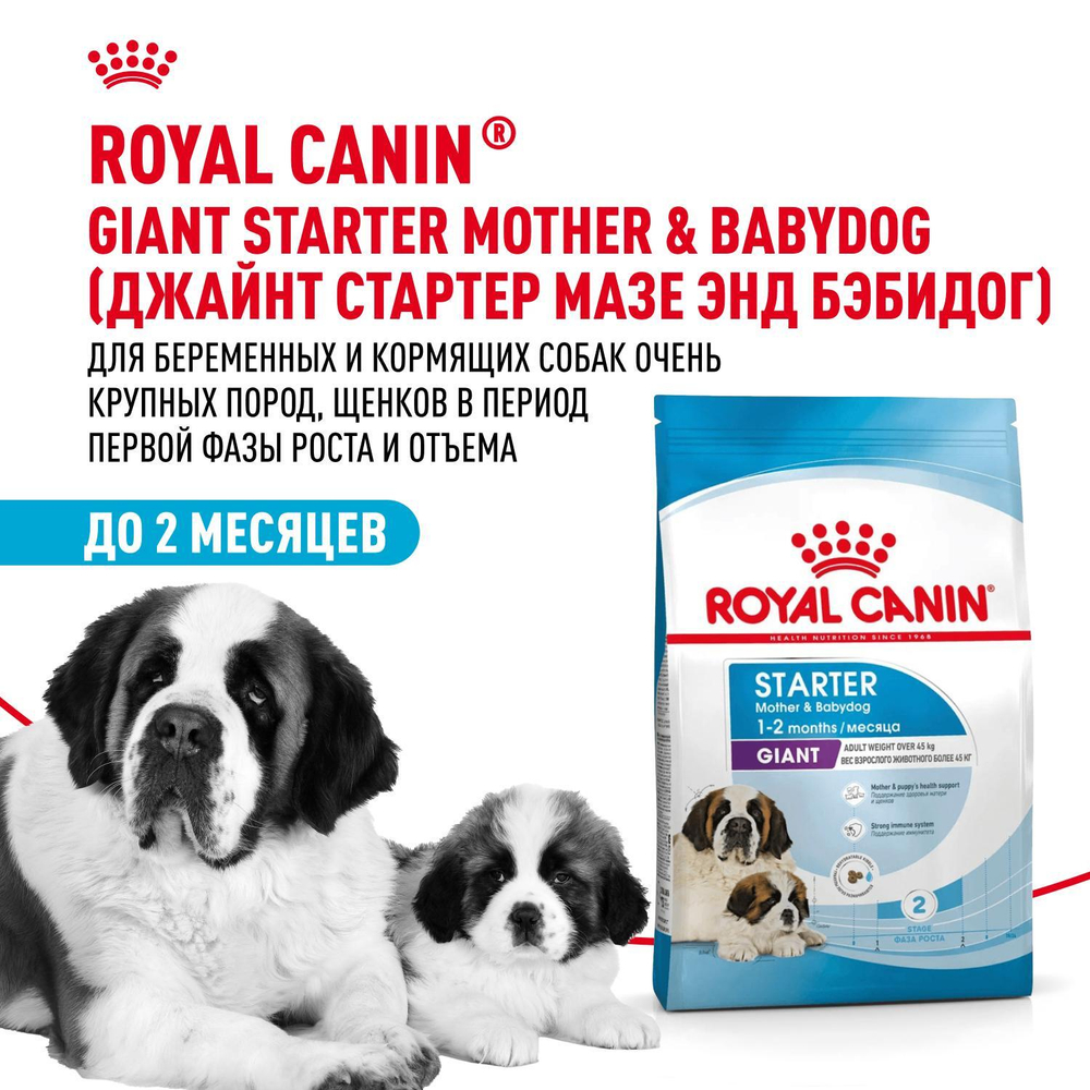Royal Canin Giant Starter Mother & Babydog Джайнт Стартер Мазе энд Бебидог Корм для щенков гигантских пород в период первой фазы и отъема 4кг
