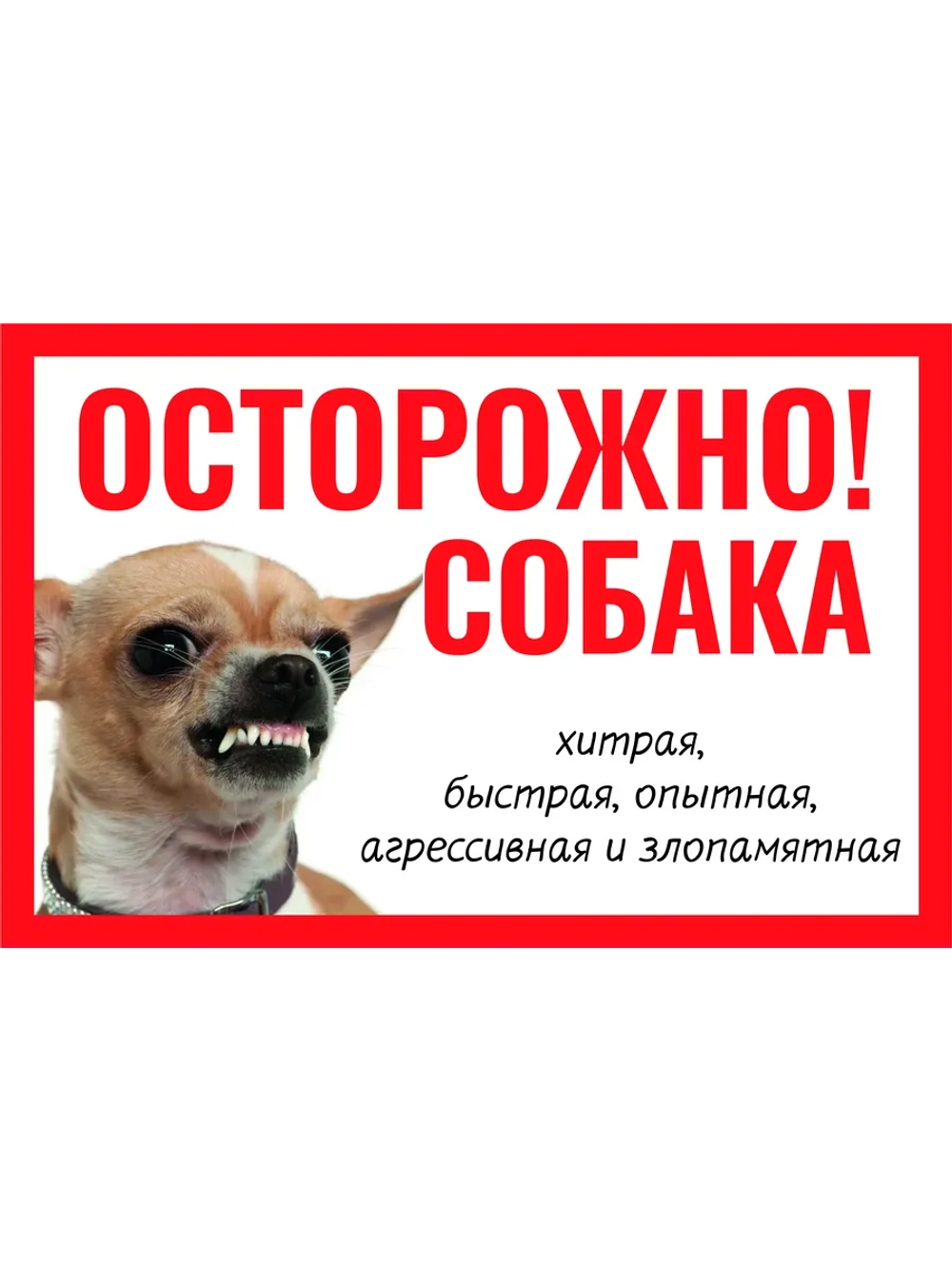 Табличка "Злопамятная собака"