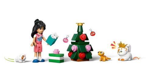 Конструктор LEGO Friends 42668 Friends Advent Calendar 2025