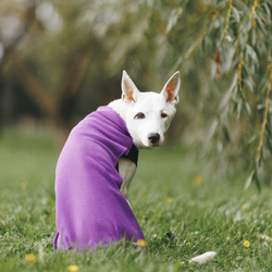 Флисовая кофта DOGLEA СПОРТ КОМФОРТ
