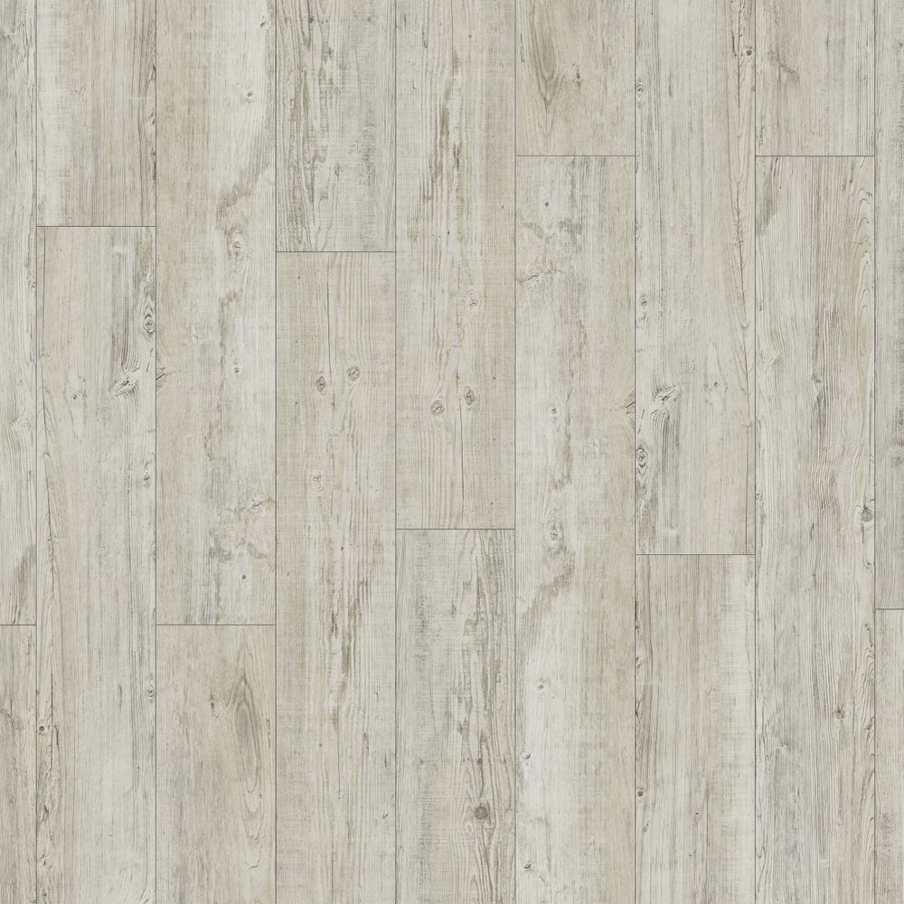 Latin Pine 24142