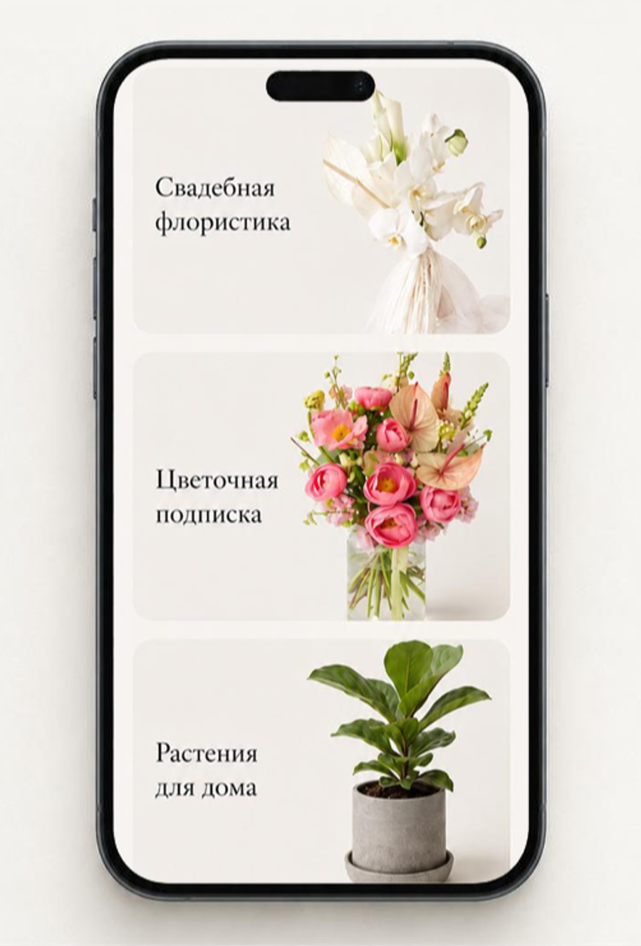 Вы выбираете формат