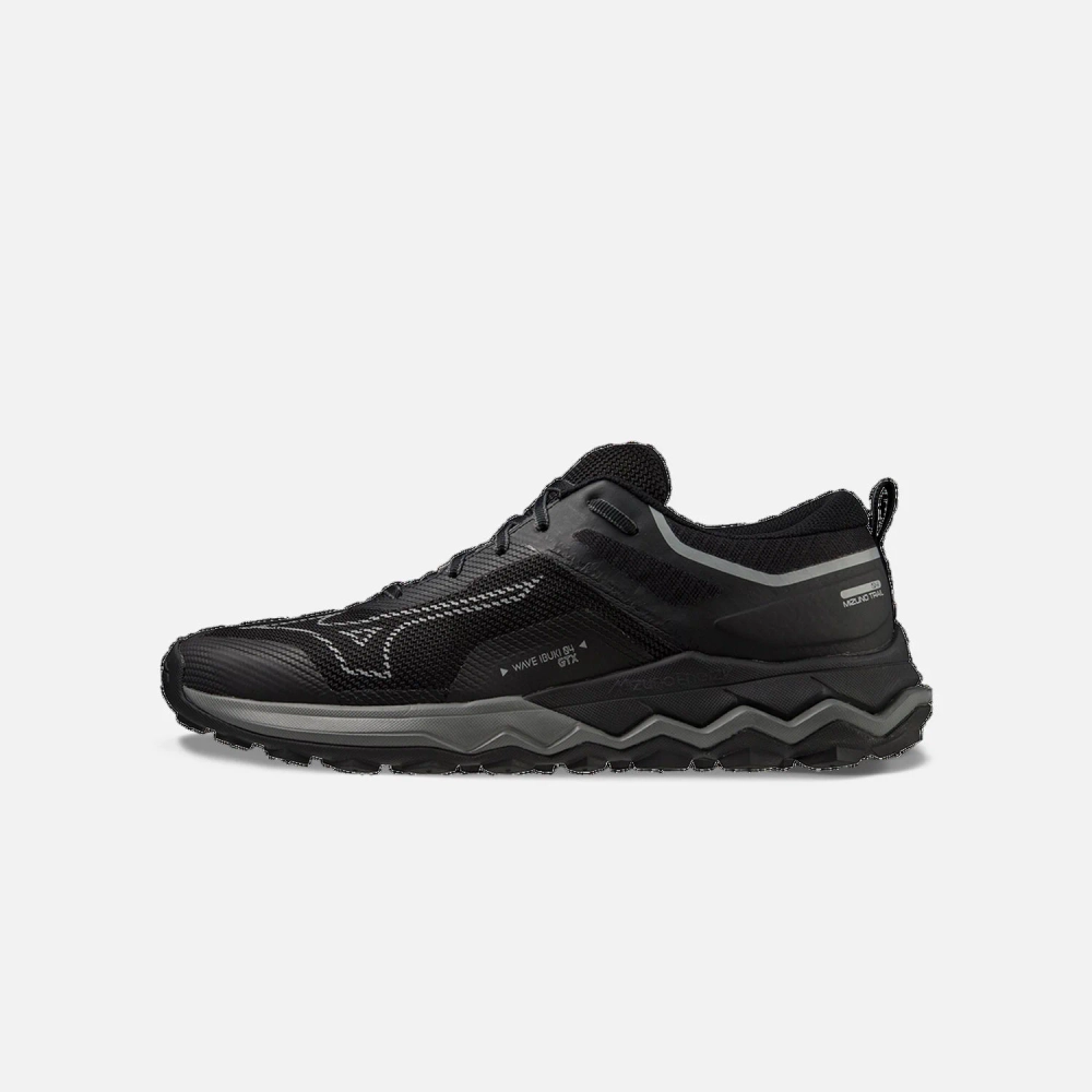 Кроссовки Mizuno Wave Ibuki 4 Gtx