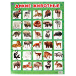 315690/Дикие животные. Плакат А2. Умка/1