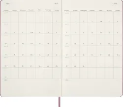 Ежедневник Moleskine Classic Daily Large розовый (DHD2612DC3) 4