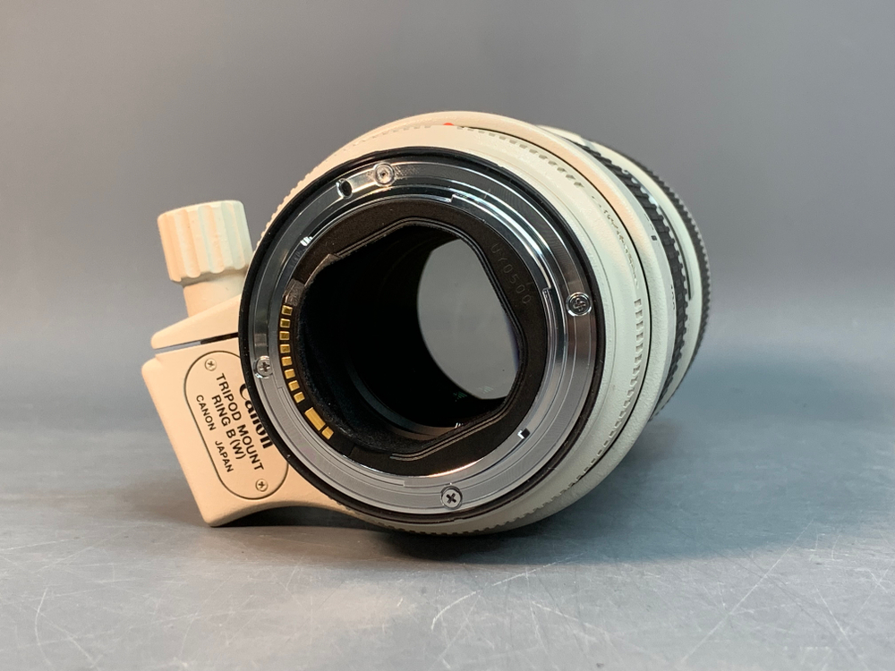 Canon EF 70-200mm 2.8L IS II USM