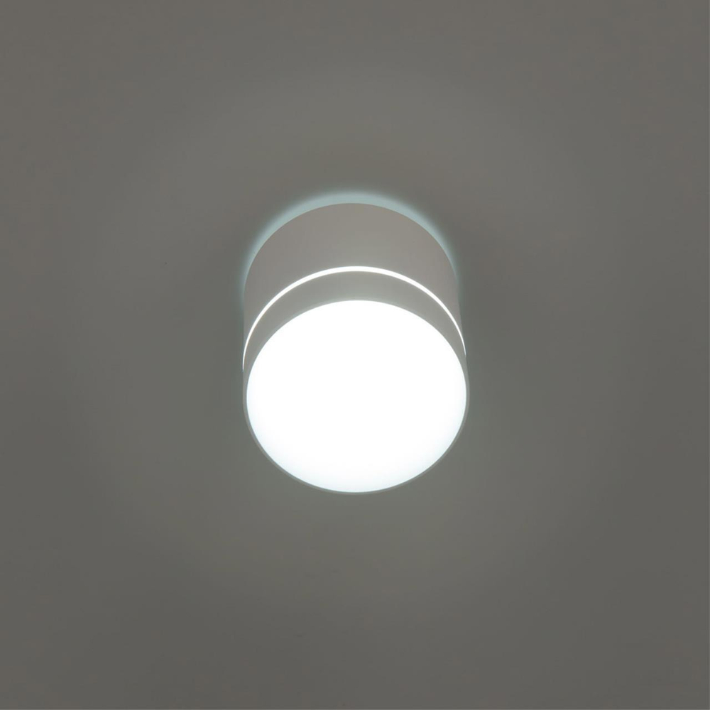 Накладной светодиодный светильник Citilux Борн CL745020N