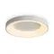 Потолочный светильник Fit FR6157CL-L65W Freya