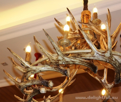 ROLL_&_HILL_Superordinate_Antler_Chandelier_www.delightful.su