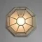Потолочный светильник уличный Pegasus A3121PF-1WG Arte Lamp
