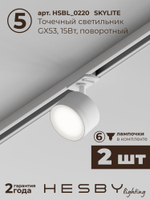 Комплект трековый Hesby Lighting Skylite No14 HSBL_kompl_S014_VI1W4K