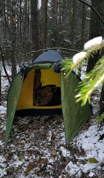 Палатка Canadian Camper EXPLORER 3 Al, цвет green