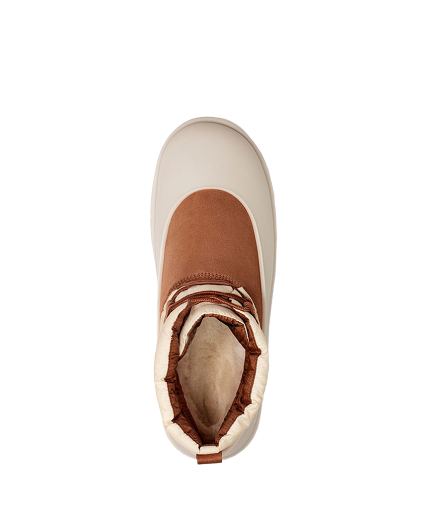 CLASSIC MINI LACE-UP Chestnut whitecap