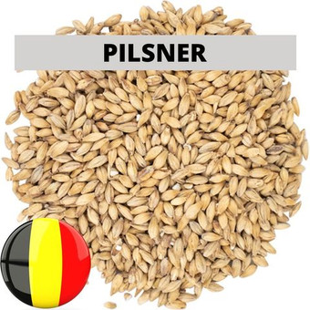 Солод ячменный светлый (Pilsner), 1 кг. Castle Malting