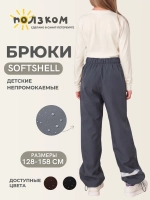 Штаны детские софтшелл демисезонные
