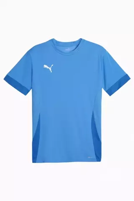 Футболка Puma teamGOAL Matchday