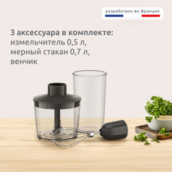 Погружной блендер Moulinex Dailymix DD533132