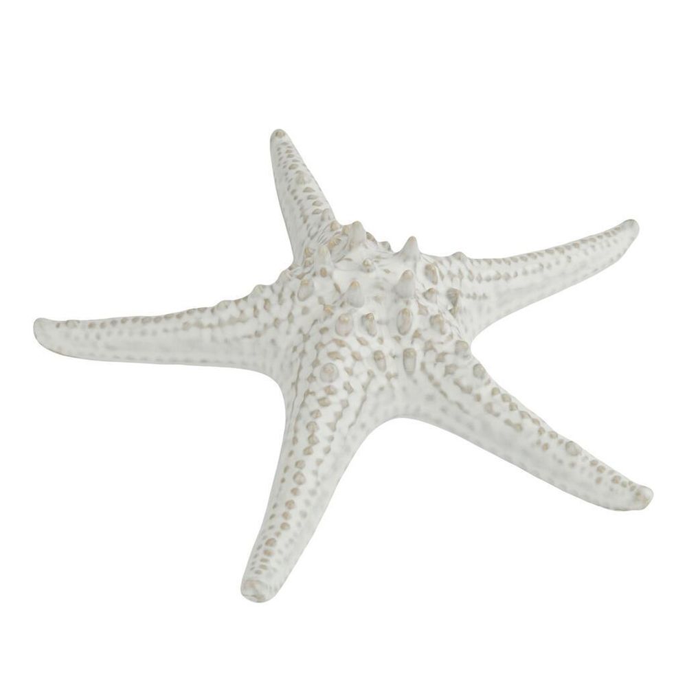 Блюдо для подачи 24 см h6 см для закусок Звезда Gray Starfish Frutti di Mare P.L. [1]
