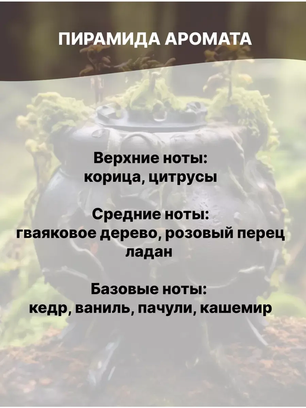 Отдушка Ведьмин котёл 50 гр