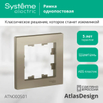 ATLASDESIGN 1-постовая РАМКА, ШАМПАНЬ