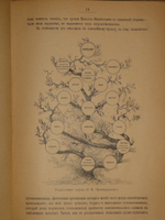 "Путешествия Н.М.Пржевальского. В 2-х томах". 1900г.