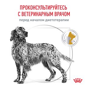 Сухой корм Royal Canin Urinary S/O для взрослых собак при мочекаменной болезни