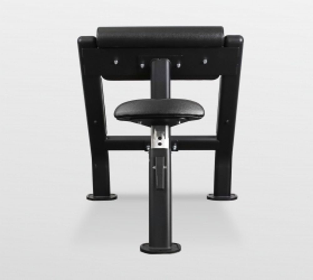 Скамья Скотта Bronze Gym BR-1007