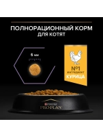 PRO PLAN HEALTHY START (Про план Хелфи старт) корм для котят, с высоким содержанием курицы 10 кг