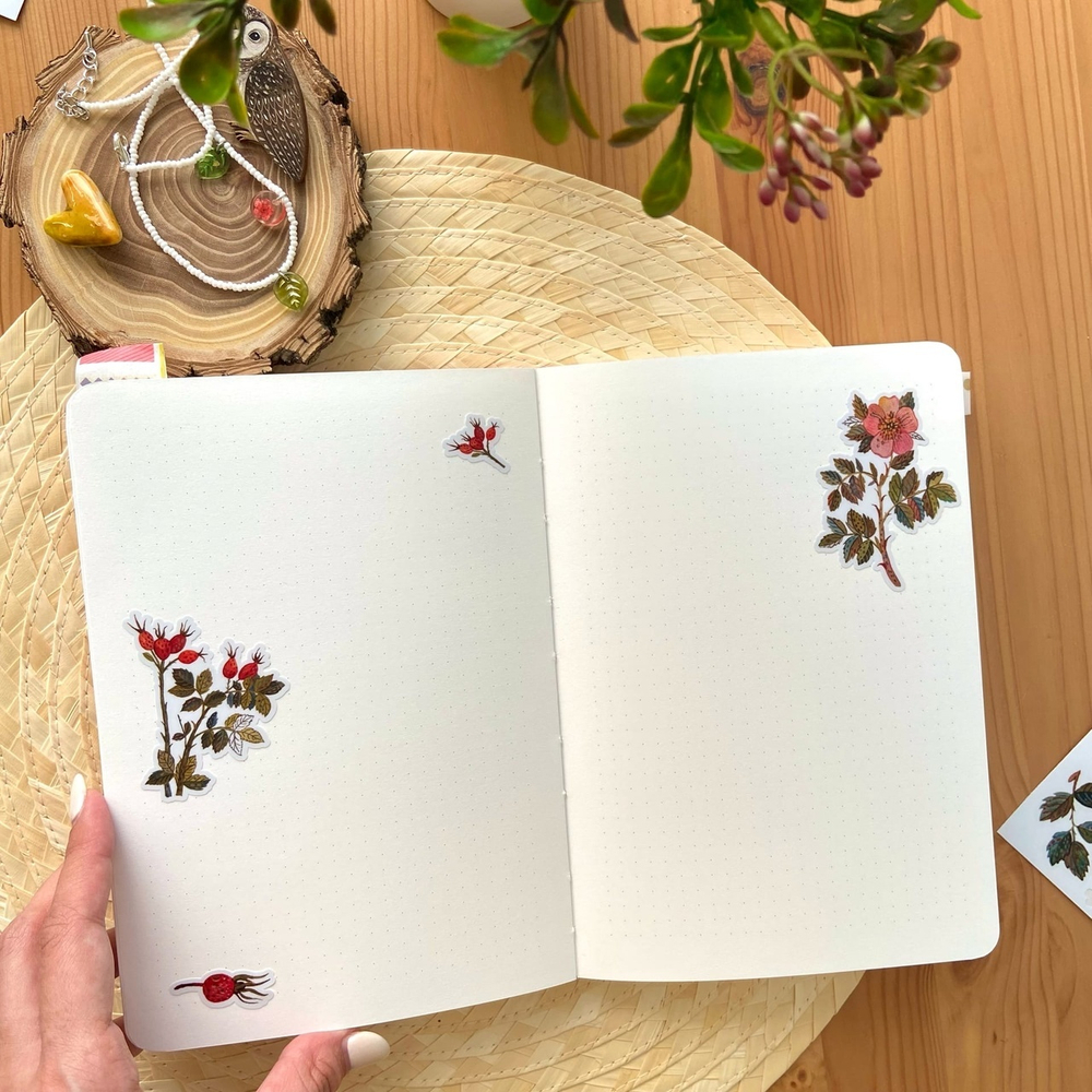 стикерпак «ботаника» 🌸🌿