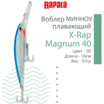 Воблер X-Rap Magnum 10, 11см, 22гр, цвет HH, плавающий