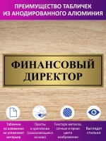 Табличка "Финансовый директор".