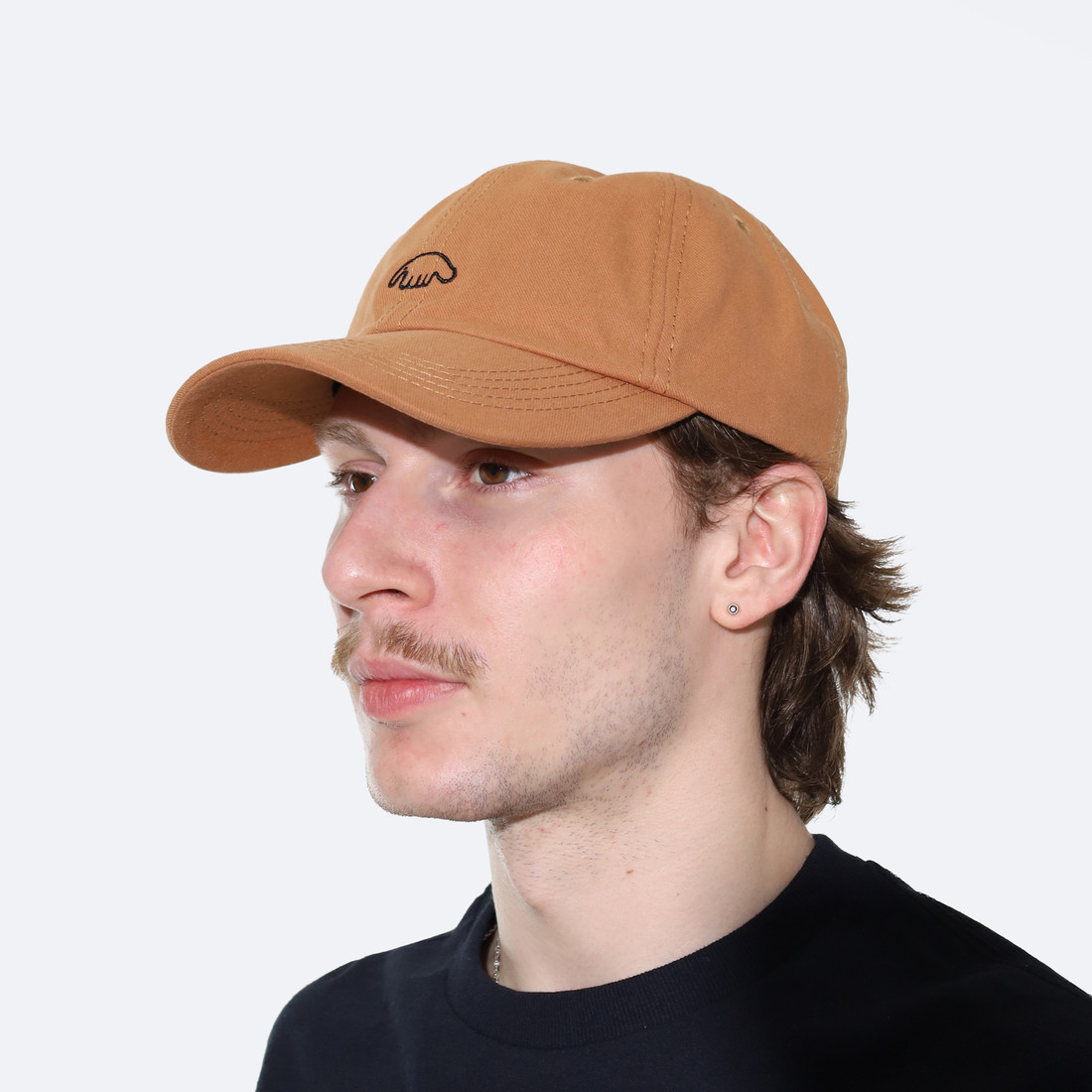 Купить Кепка Anteater 6Panel (sand)