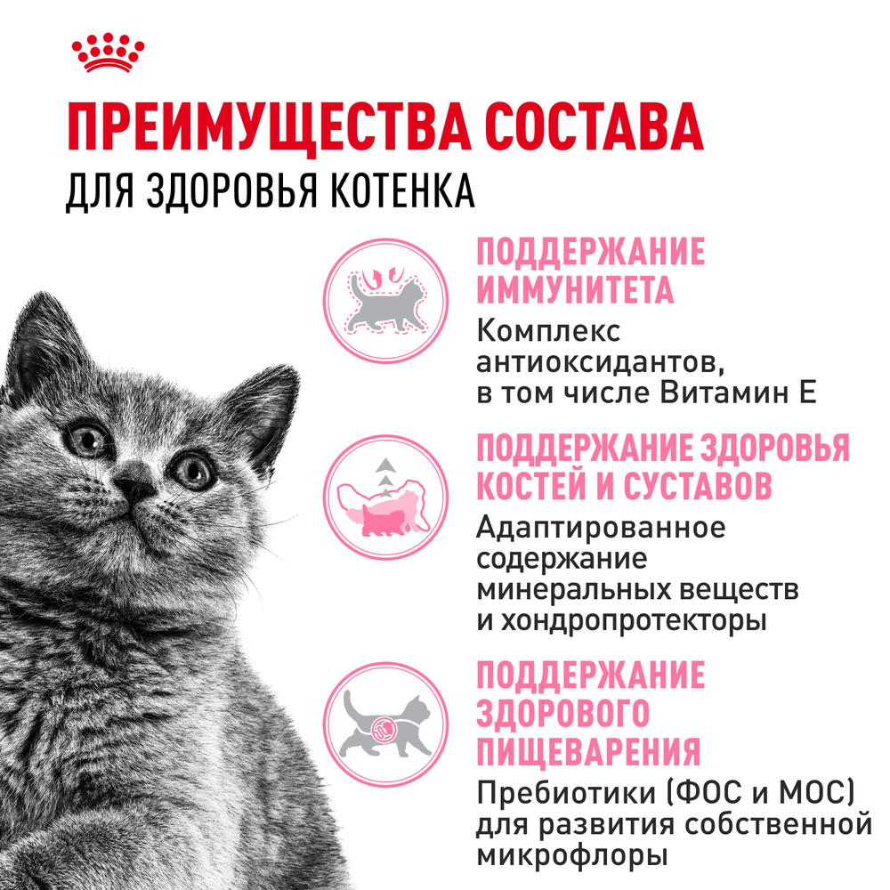 Royal Canin British Shorthair Kitten Киттен Британская короткошерстная Корм сухой сбалансированный для британских котят 400г
